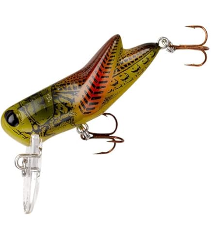 Amazon.co.jp: REBEL(レーベル)クリックホッパーポッパーP73 434